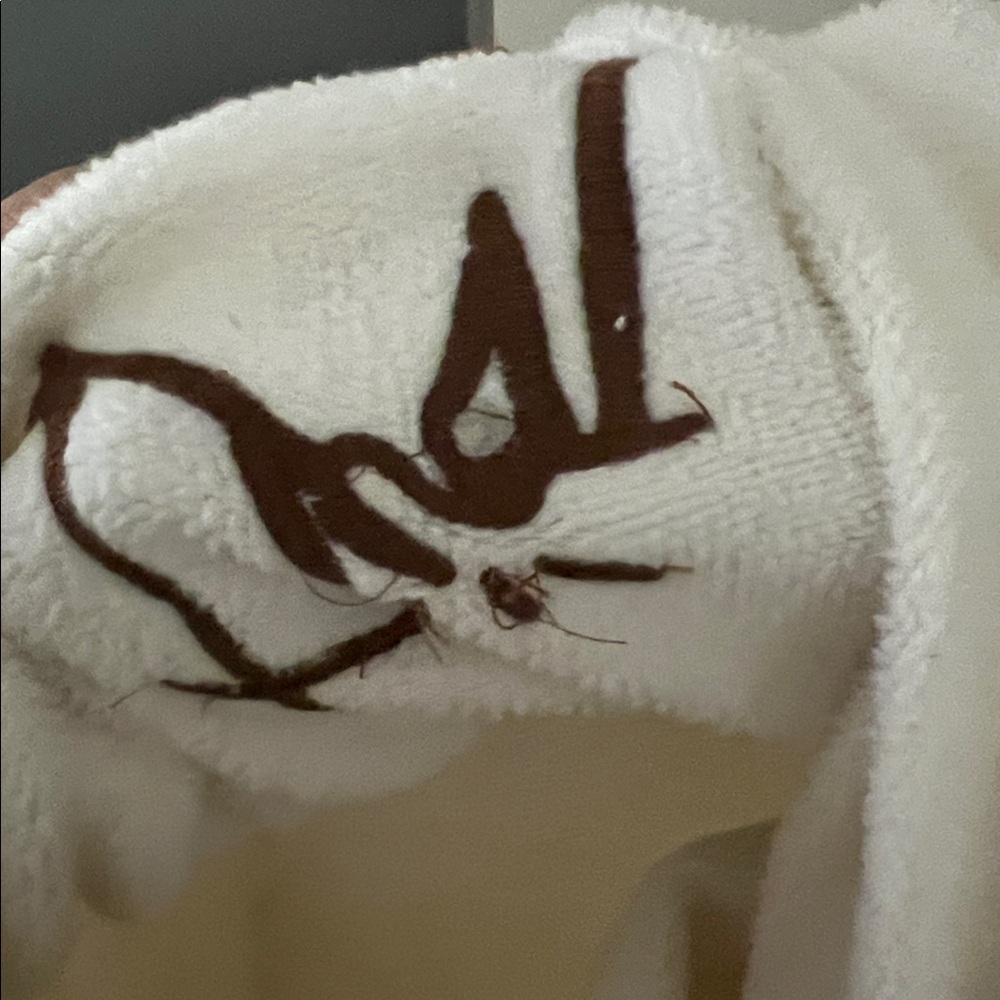 Dior x cactus jack oversized sweatshirt - Picture 12 of 14